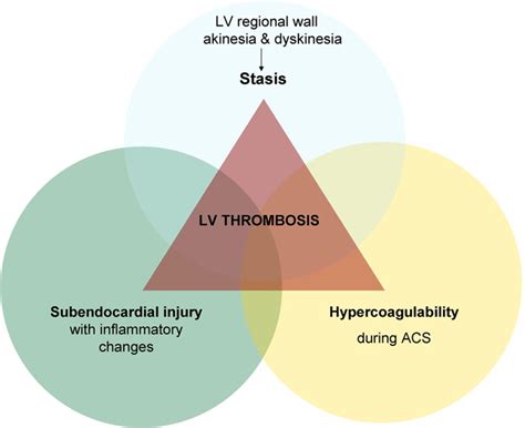 what is an Lv thrombus